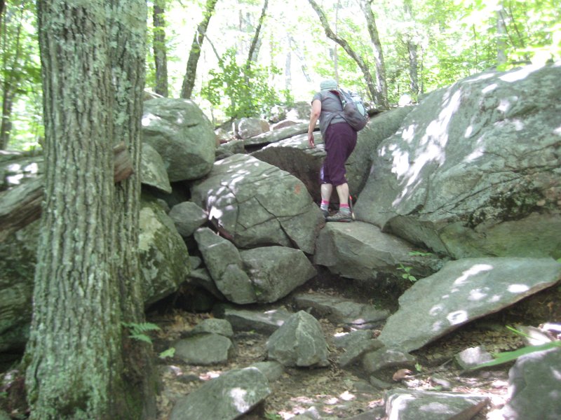 MtMajor (3).JPG - Not too far into the trail we came across our first series of boulders.